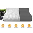 Ortho Living Bamboo Charcoal Double Contour Memory Pillow For Discount